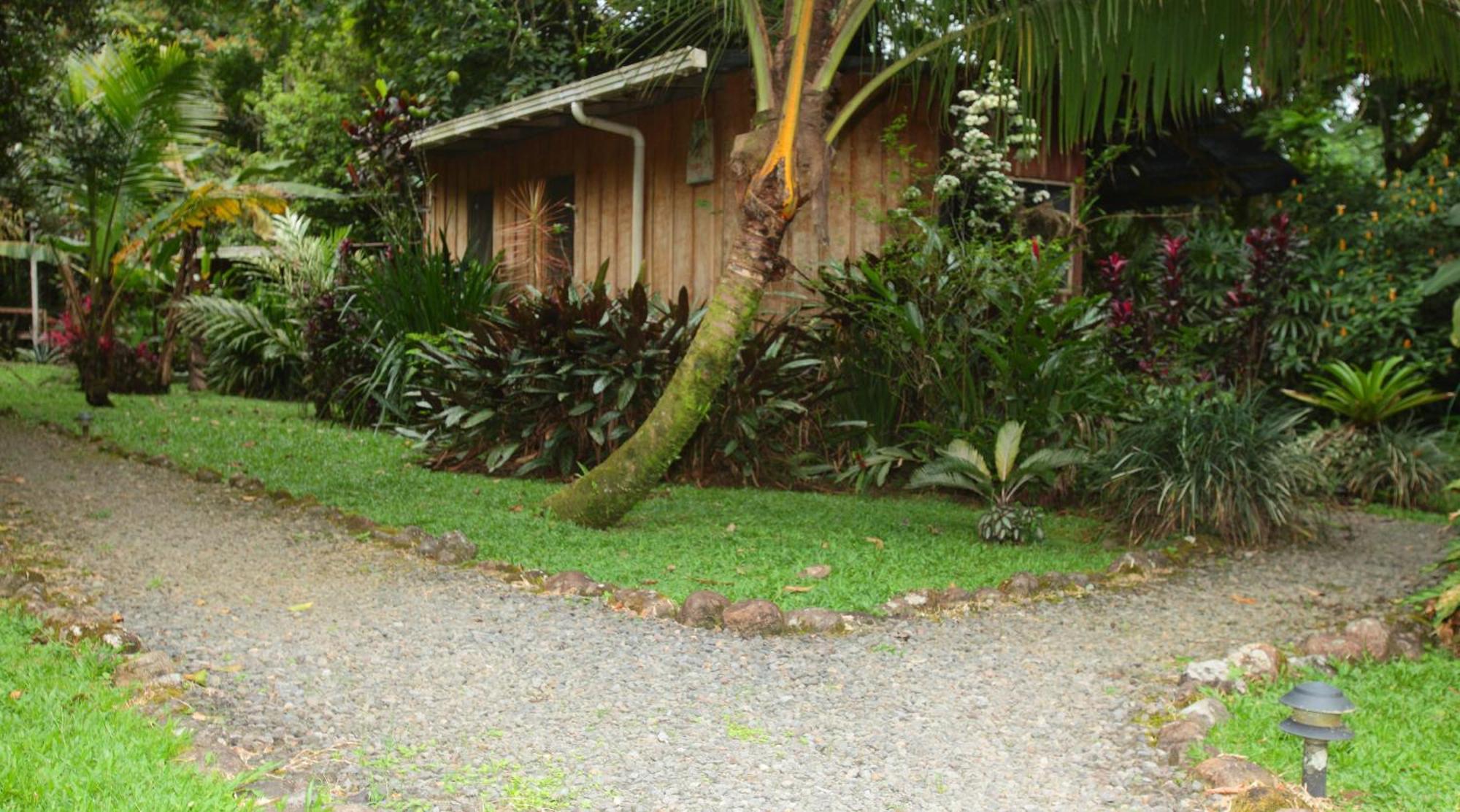 Casa Rio Blanco Eco Friendly B&B Guápiles Eksteriør bilde