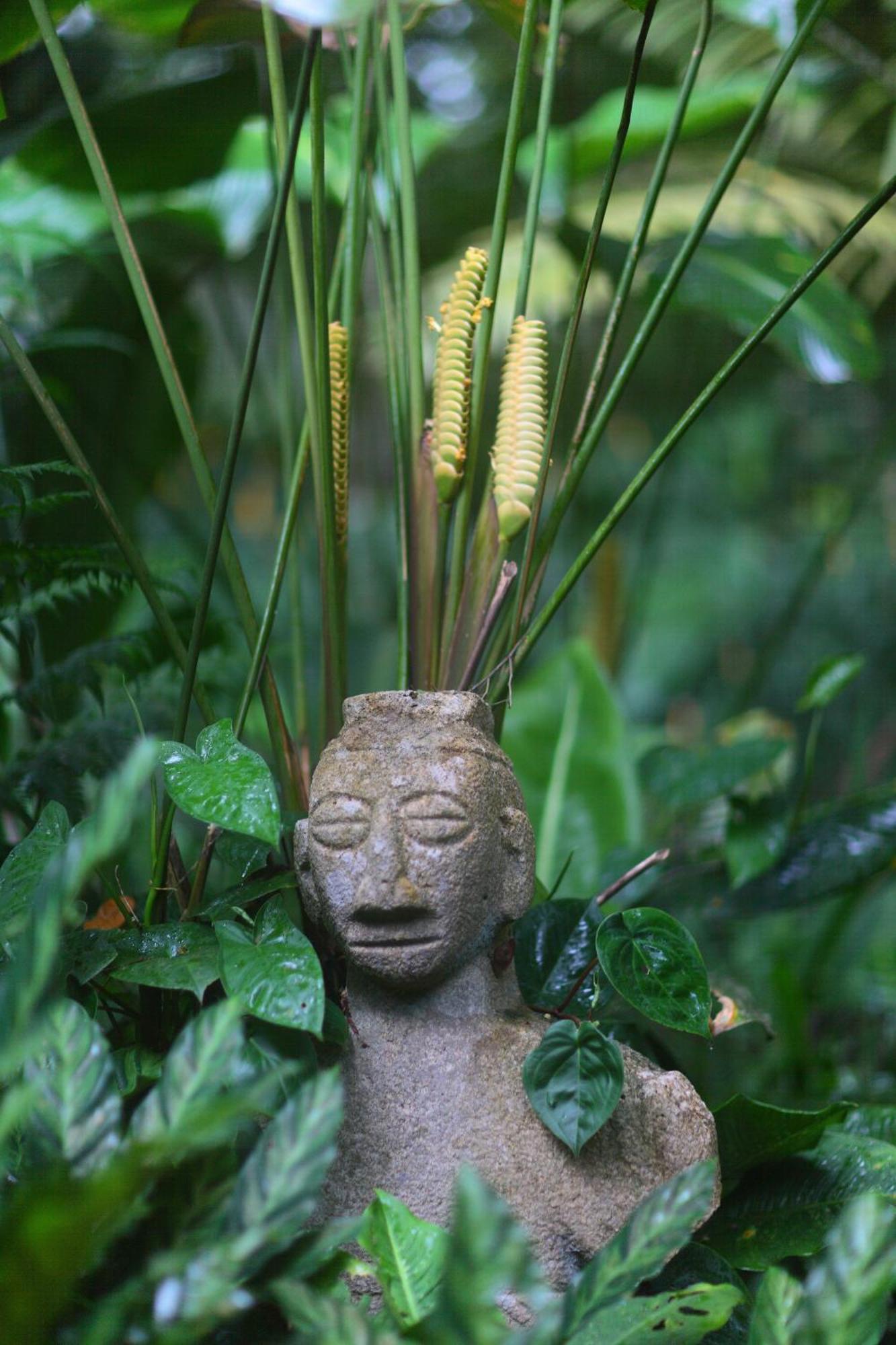 Casa Rio Blanco Eco Friendly B&B Guápiles Eksteriør bilde
