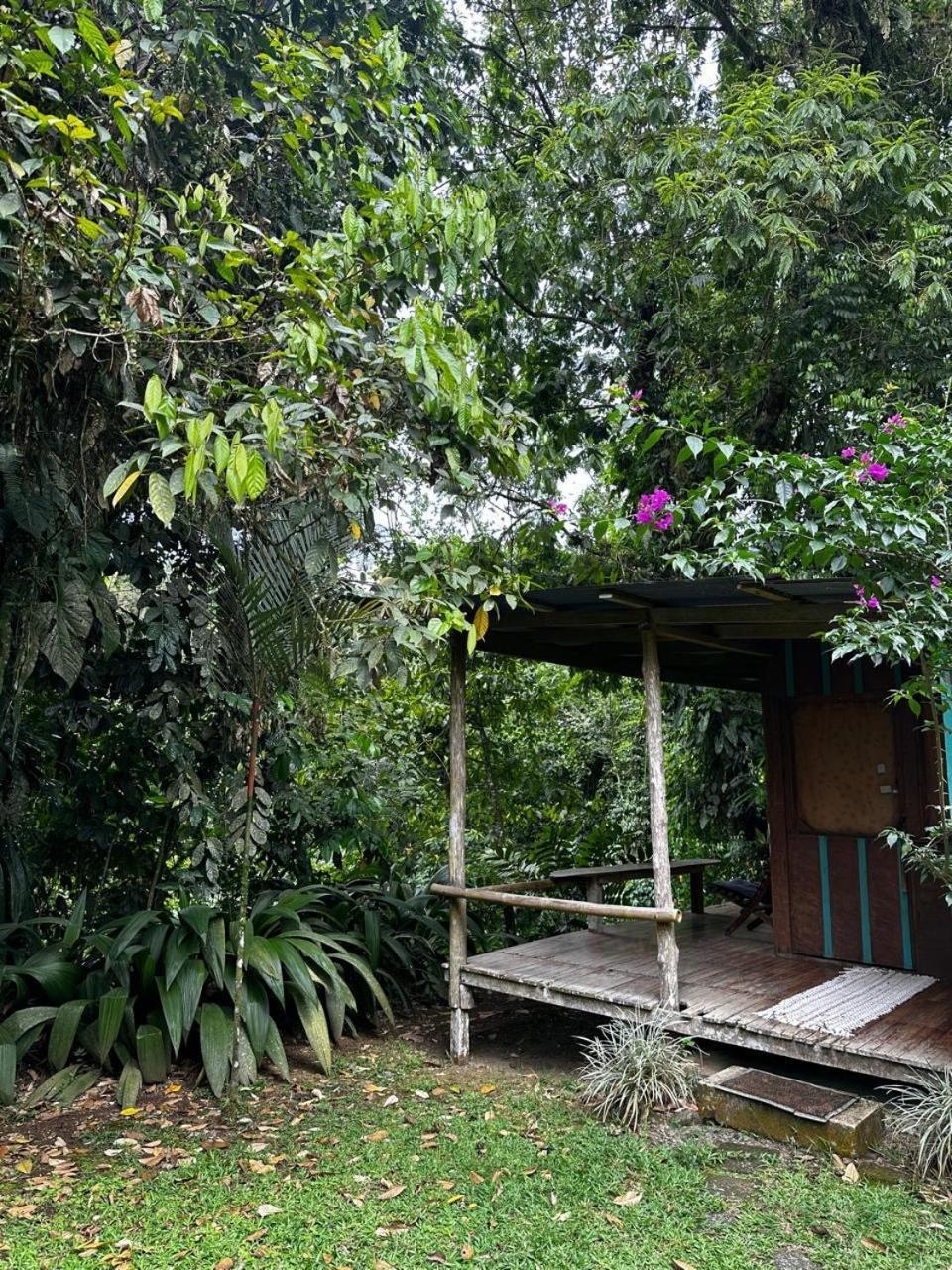 Casa Rio Blanco Eco Friendly B&B Guápiles Eksteriør bilde