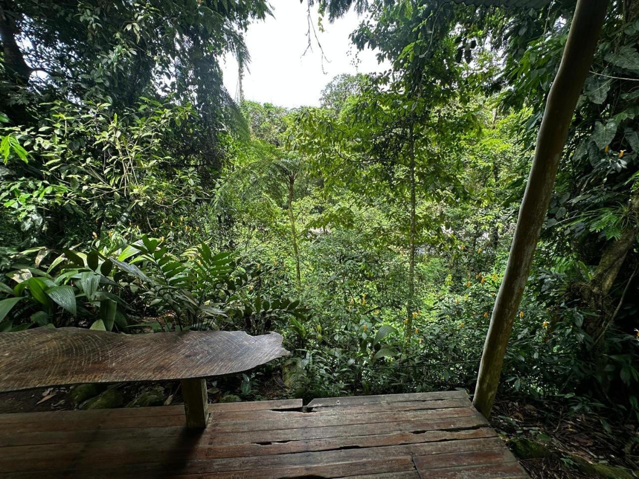 Casa Rio Blanco Eco Friendly B&B Guápiles Eksteriør bilde