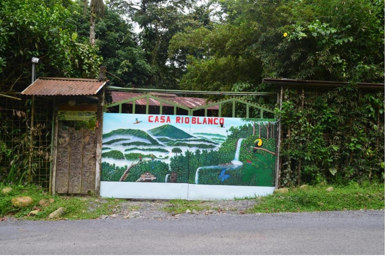 Casa Rio Blanco Eco Friendly B&B Guápiles Eksteriør bilde