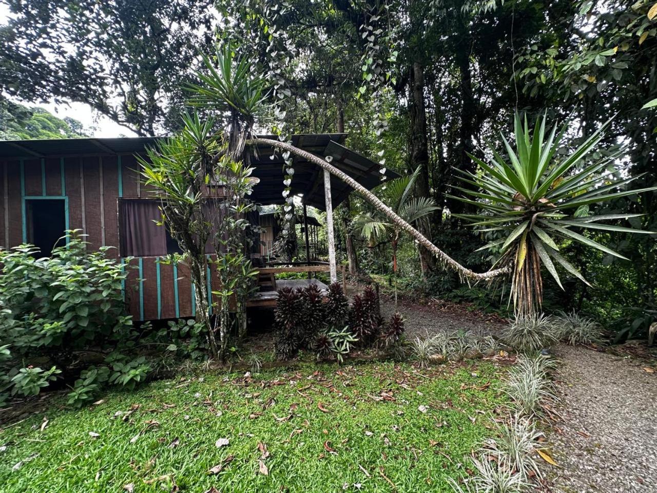 Casa Rio Blanco Eco Friendly B&B Guápiles Eksteriør bilde