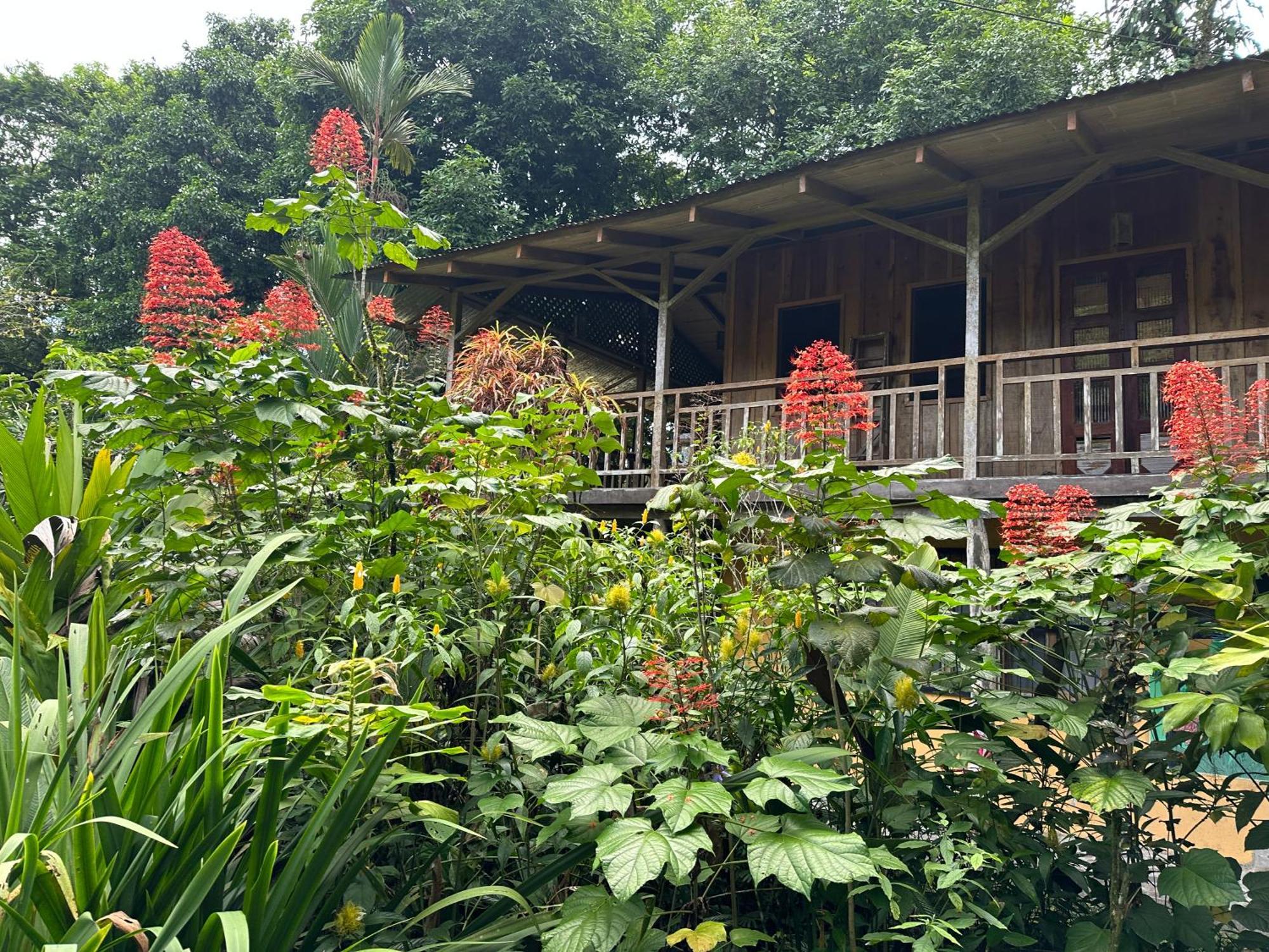 Casa Rio Blanco Eco Friendly B&B Guápiles Eksteriør bilde