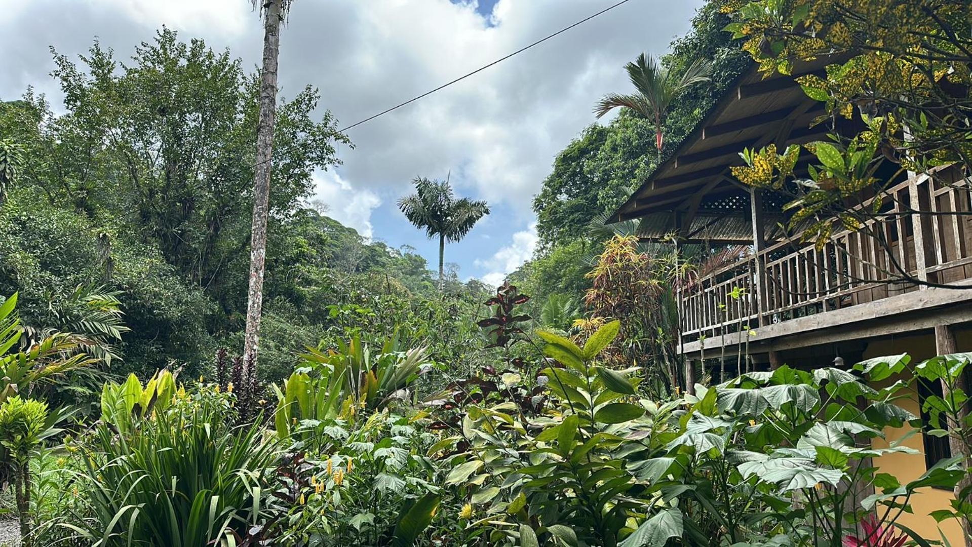 Casa Rio Blanco Eco Friendly B&B Guápiles Eksteriør bilde