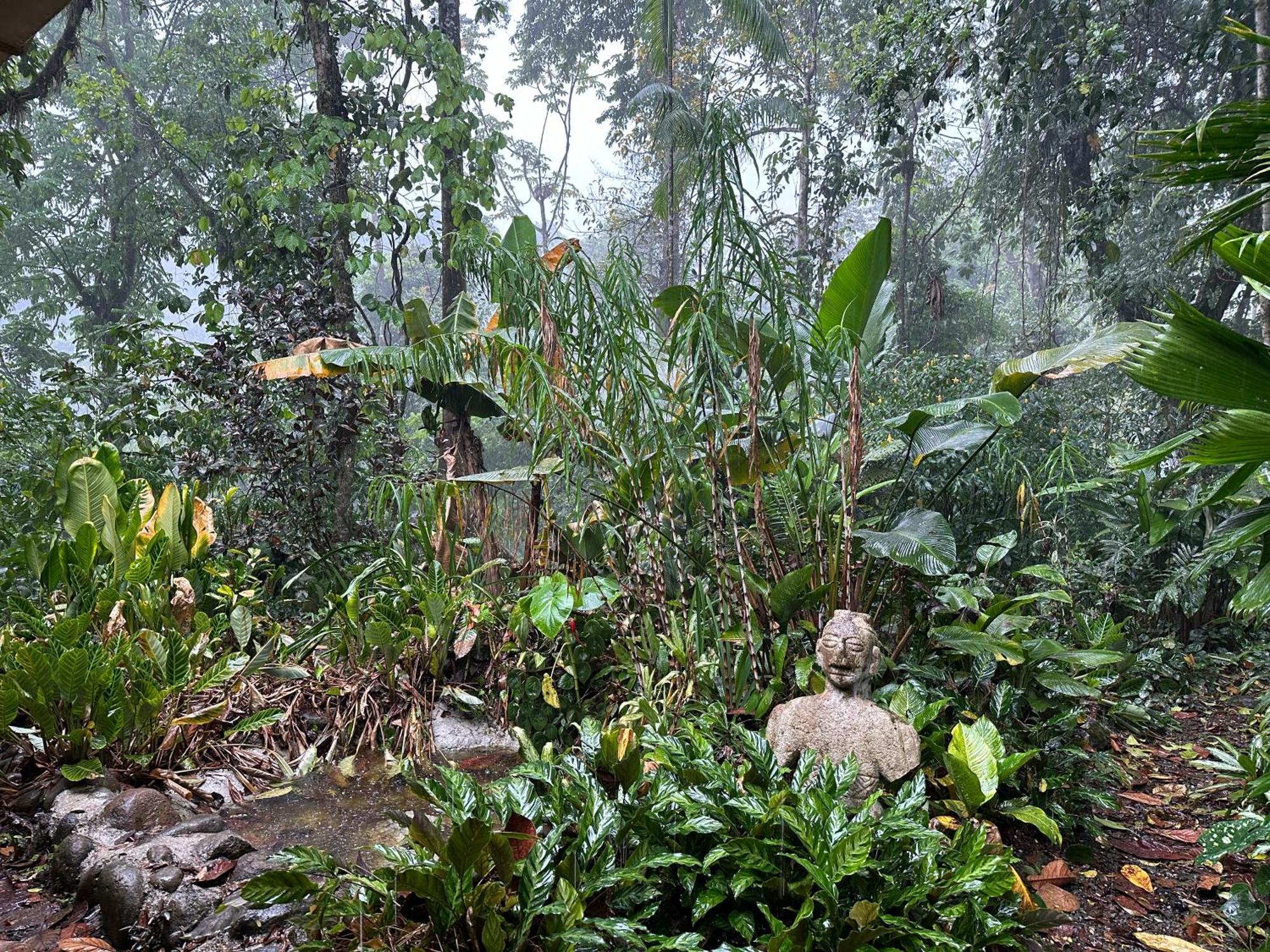 Casa Rio Blanco Eco Friendly B&B Guápiles Eksteriør bilde