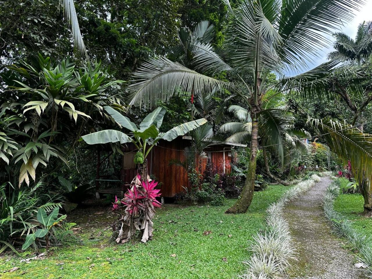 Casa Rio Blanco Eco Friendly B&B Guápiles Eksteriør bilde
