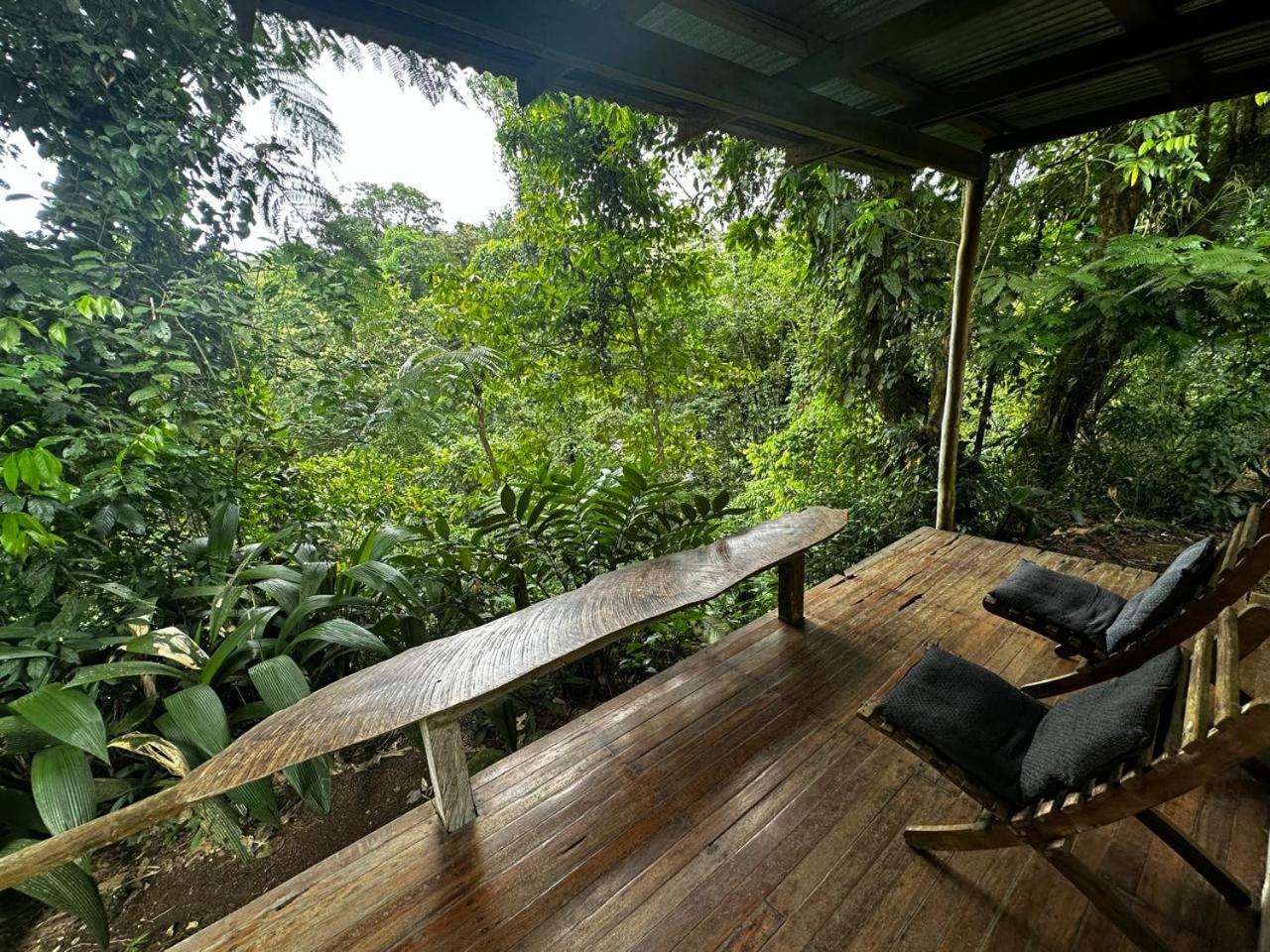 Casa Rio Blanco Eco Friendly B&B Guápiles Eksteriør bilde