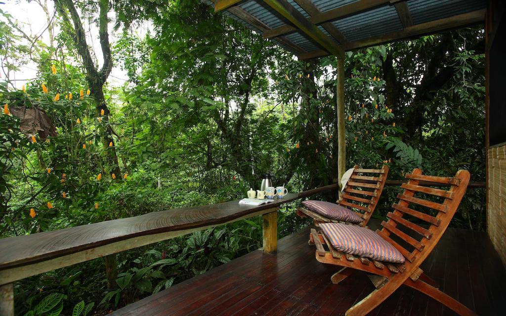 Casa Rio Blanco Eco Friendly B&B Guápiles Eksteriør bilde